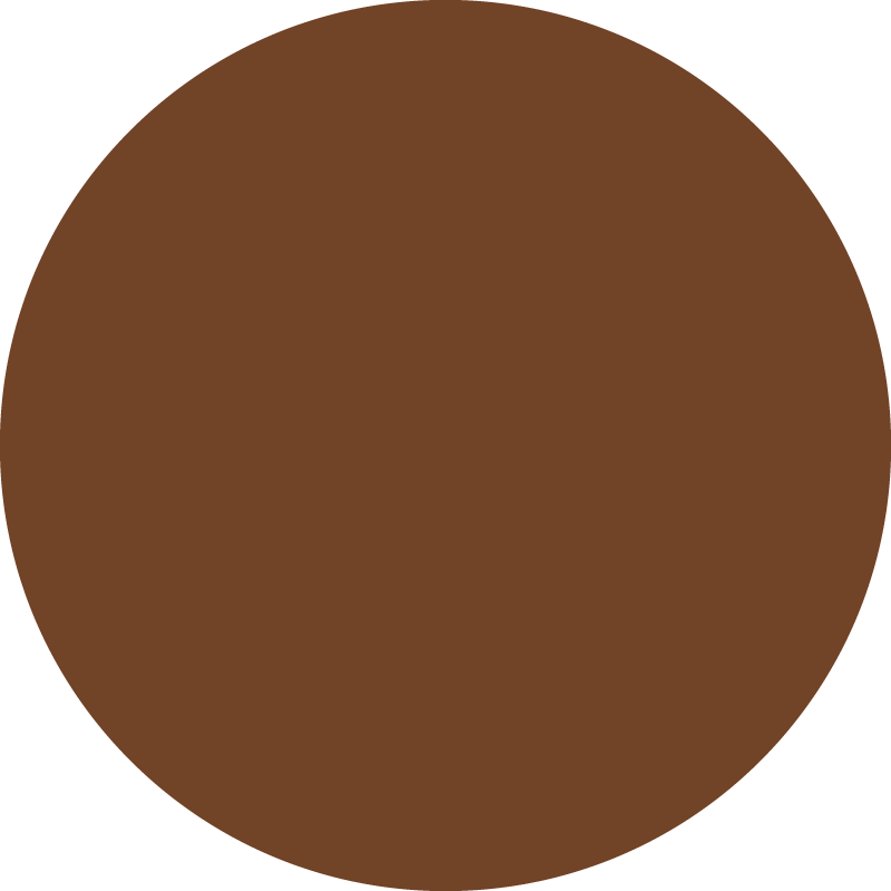 Farba akrylowa Brown 65